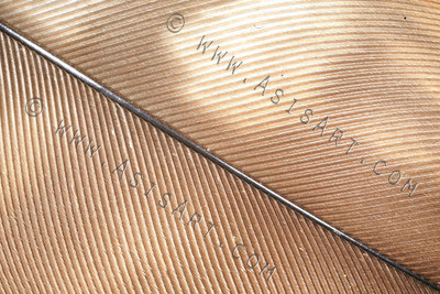 Feather Detail II