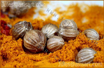 Coriander and Turmeric