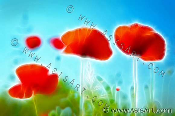 Summer Poppies I