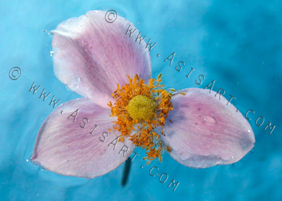 Floating . . .