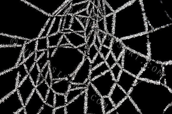 Frosted Cobweb