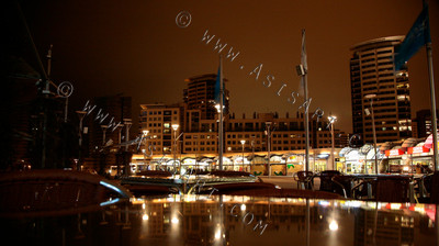 _MG_0939